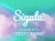 Sigala Melody Tiesto Remix Lyric Video