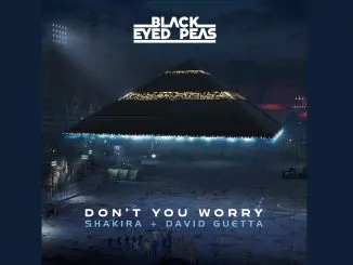 Black Eyed Peas Shakira David Guetta DONT YOU WORRY 1